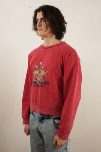 Liberal Youth Ministry Sunwashed Printed Sweatshirt (Red)